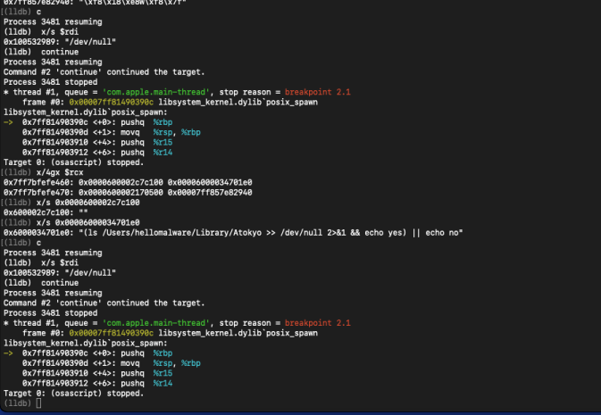 LLDB capturing posix_spawn with liveness check command